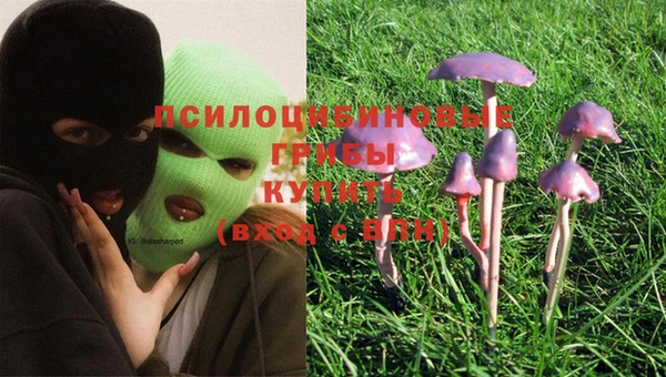 эйфоретик Бугульма
