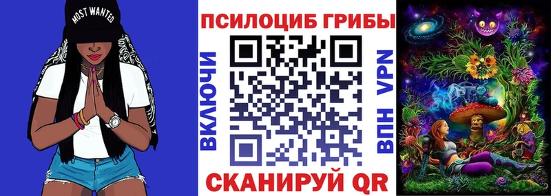 ОМГ ОМГ как войти  Навашино  Псилоцибиновые грибы мухоморы 