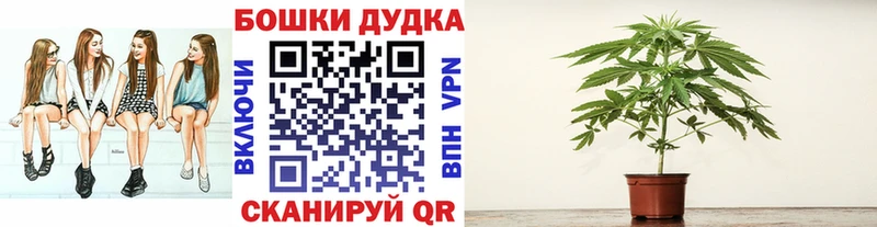 blacksprut ONION  Навашино  Бошки марихуана Bruce Banner 